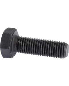 Polt 5/16" x 1" 0746211