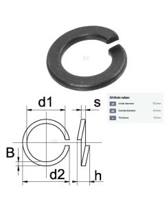 Vedruseib M12 12,2x21,1x2,5 DIN127B 100tk