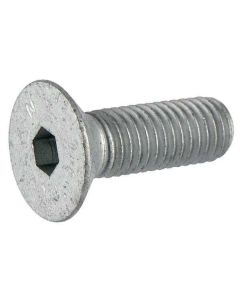 Polt M10x30 10.9 3016123 OR.