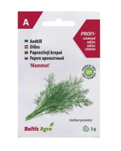 Aedtill ‘Mammut’