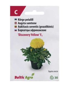 Peiulill ‘Discovery Yellow’