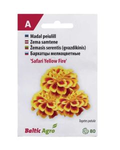 Peiulill ‘Safari Yellow Fire’