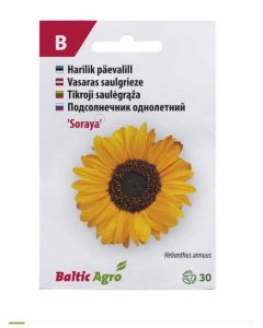 Päevalill ‘Soraya’