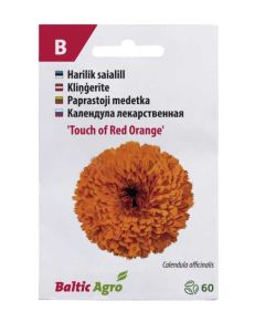 Saialill ‘Touch of Red Orange’