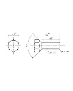 Polt M16x1,5-50 4959684