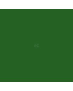 Värv JOHN DEERE roheline 5L 1987-