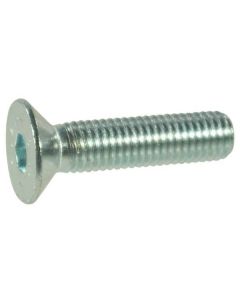 Koonuspolt M10x1,5-20 10,9 DIN7991