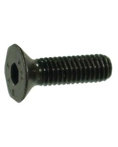 Koonuspolt M4x0.7-12 10.9 DIN7991