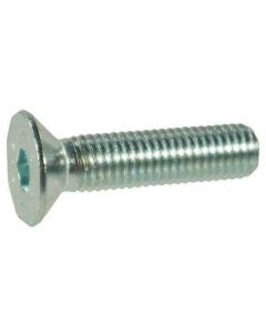 Koonuspolt M5x0.8-10 10.9 DIN7991 Zn