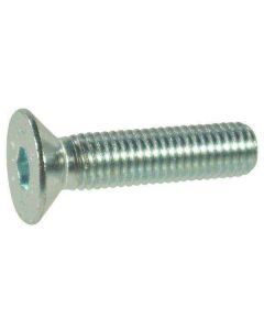 Koonuspolt M6x1-16 10.9 DIN7991 Zn