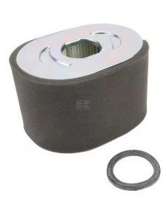 Õhufilter 799818 Briggs & Stratton OR.