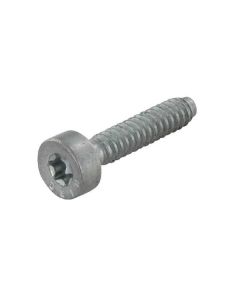 Polt M5x25 90754784159 STIHL OR.