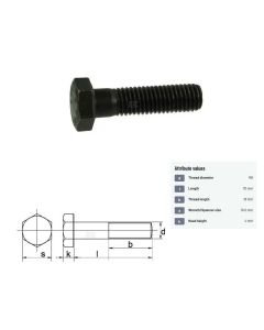 Polt M6x1-70 DIN931 10.9