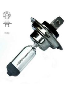 Pirn H7 24V 70W PX26D