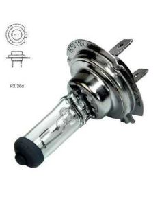 Pirn H7 12v 55w PX26D