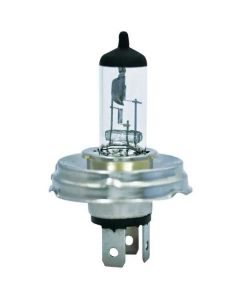 Pirn 12V 40W/45W P45t