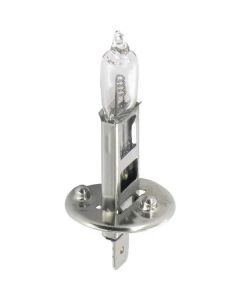 Pirn 24V 70W P14.5s