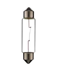 Pirn 24V 5W  SV8.5