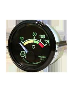 Temperatuurinäidik EI8008-3