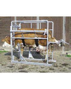 Veiste hooldusboks COMPACT 1