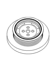 Rihmaratas J925568