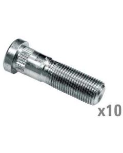 Ratta polt 847416M1 10tk.