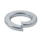 Vedruseib M6 6,5x11,8x1,6 DIN127B 100tk
