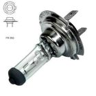 Pirn H7 12v 55w PX26D