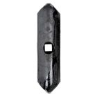 Pii ots AC229901