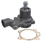 Veepump 3641832M91
